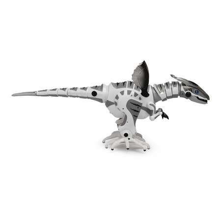 Робот-динозавр Mioshi ИкУ Robosaur MTE1204-112