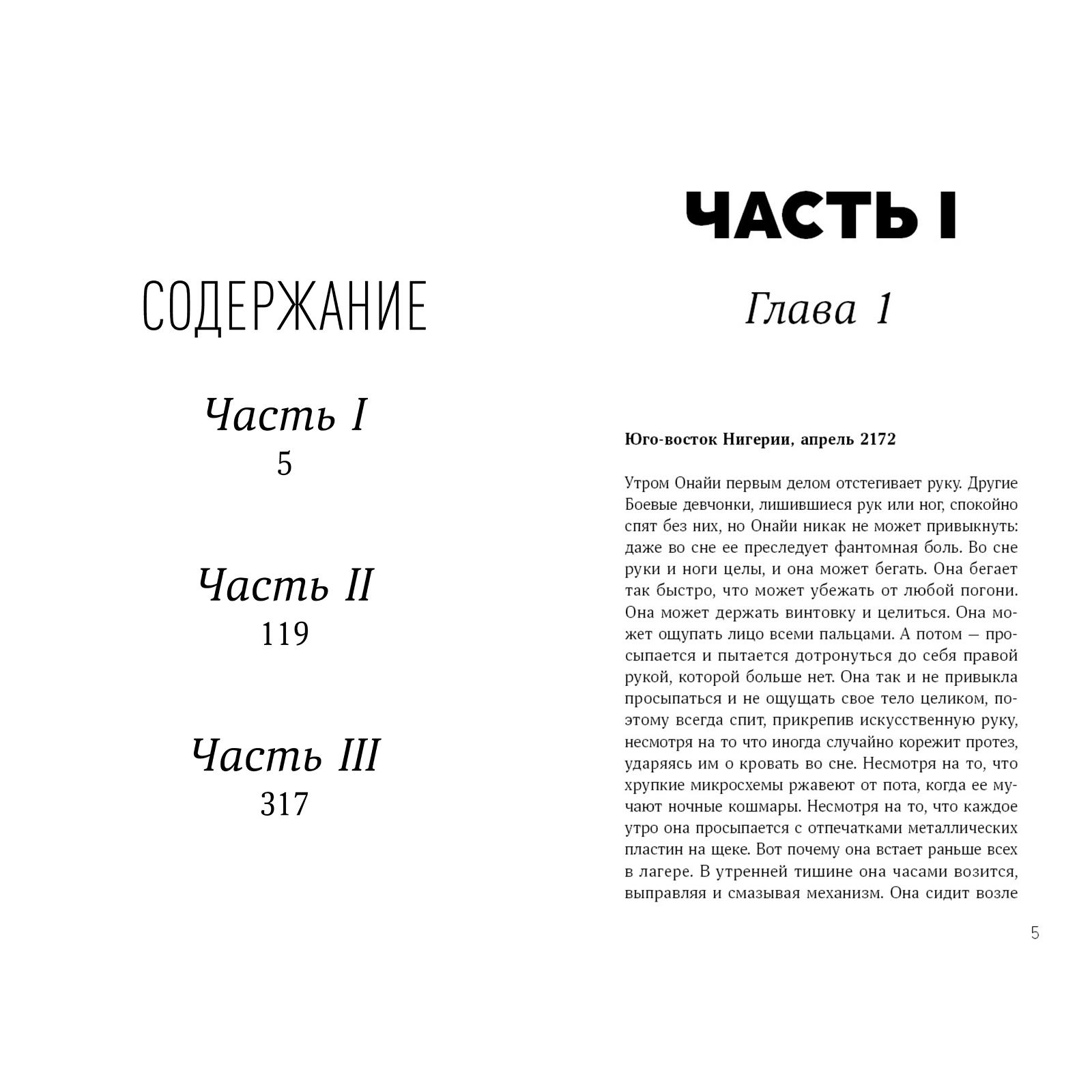 Книга Альпина. Дети Боевые девчонки. Демон Биафры - фото 2