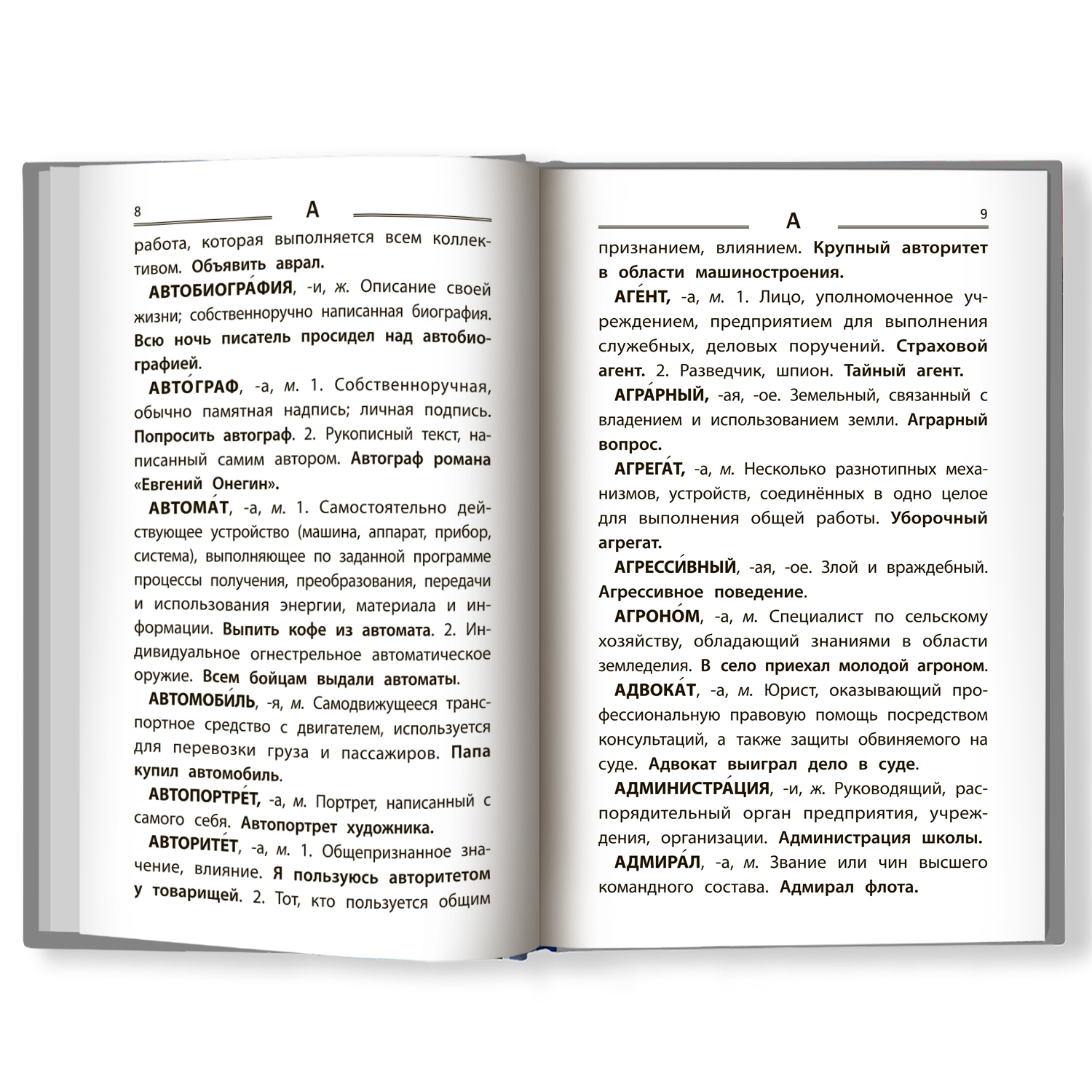 Словарь ТД Феникс Толковый словарь русского языка. С 1 по 4 классы купить  по цене 332 ₽ в интернет-магазине Детский мир