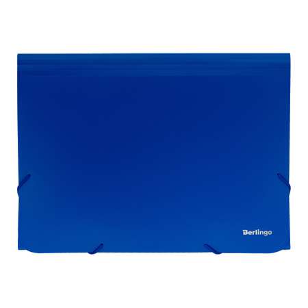 Папка Berlingo Standard А4 700 мкм на резинке синяя