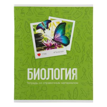 Комплект тетрадей Calligrata 10 шт предметные 48 листов «Фото»