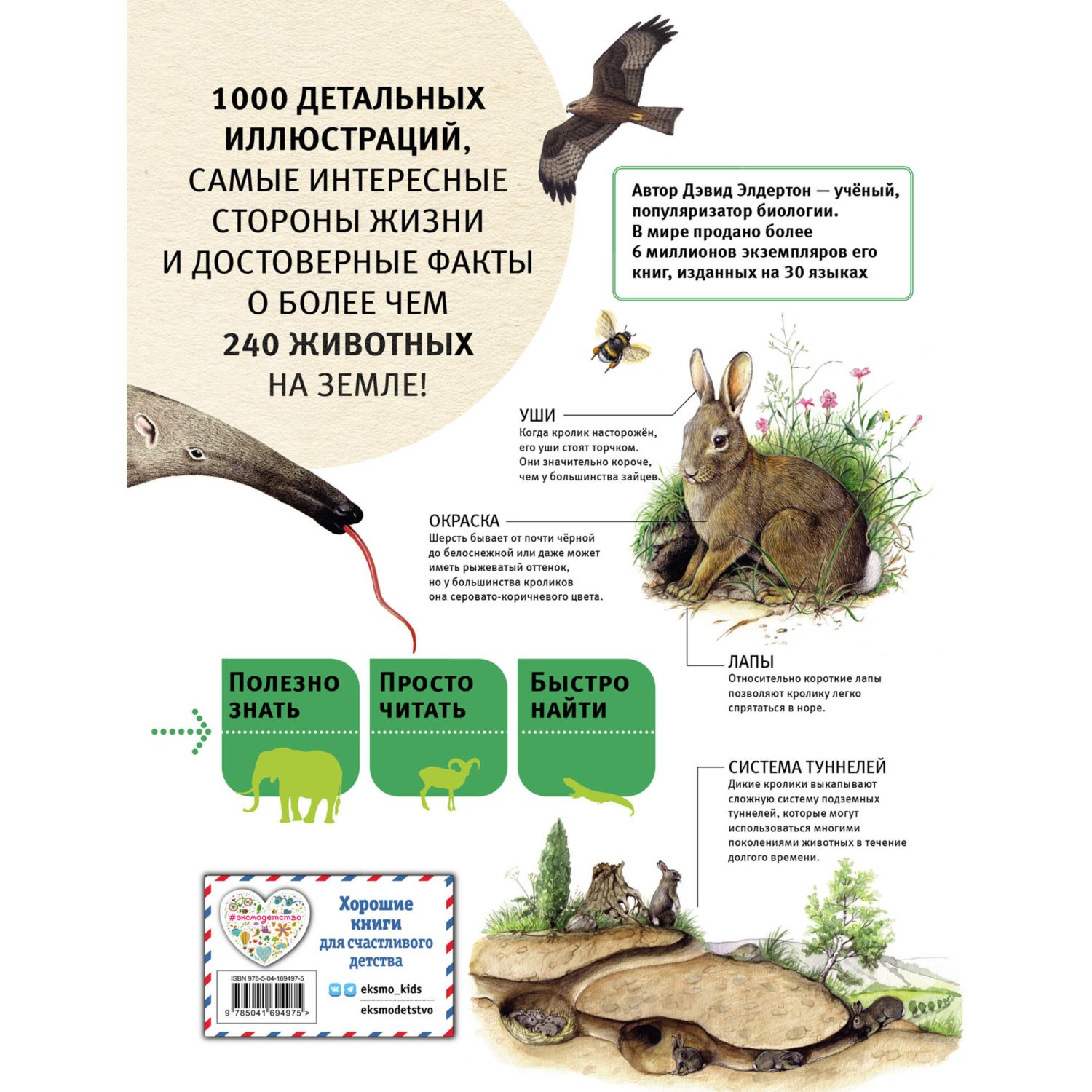 Книга Животные Все обитатели нашей планеты купить по цене 762 ₽ в  интернет-магазине Детский мир