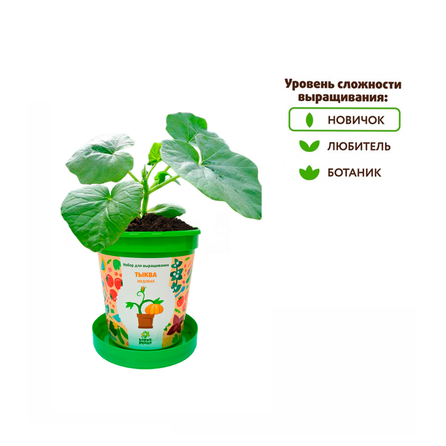 Набор для выращивания Happy Plant Вырасти сам растение в горшочке Тыква медовая - фото 4