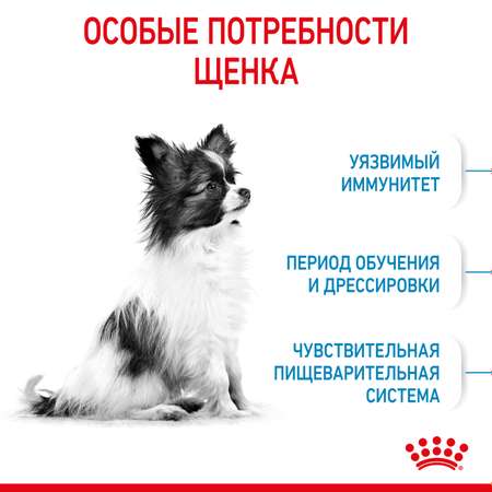 Корм для щенков ROYAL CANIN X-small Puppy миниатюрных пород 500г