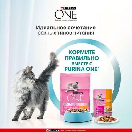 Корм для котят Purina One курица-злаки 200г