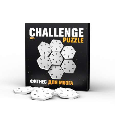 Настольная игра IQ PUZZLE Головоломка