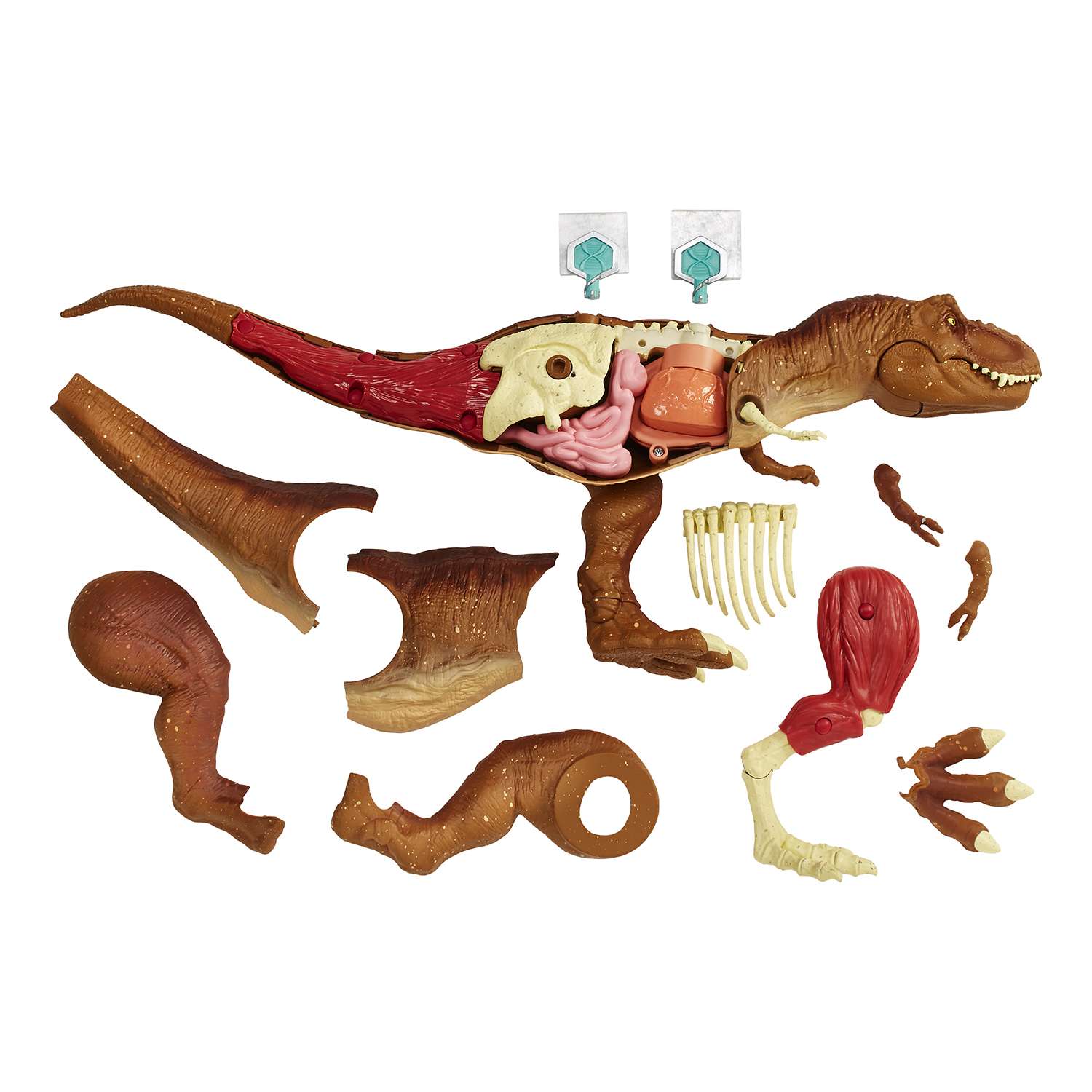 Набор археологический Jurassic World Анатомия динозавров - фото 1
