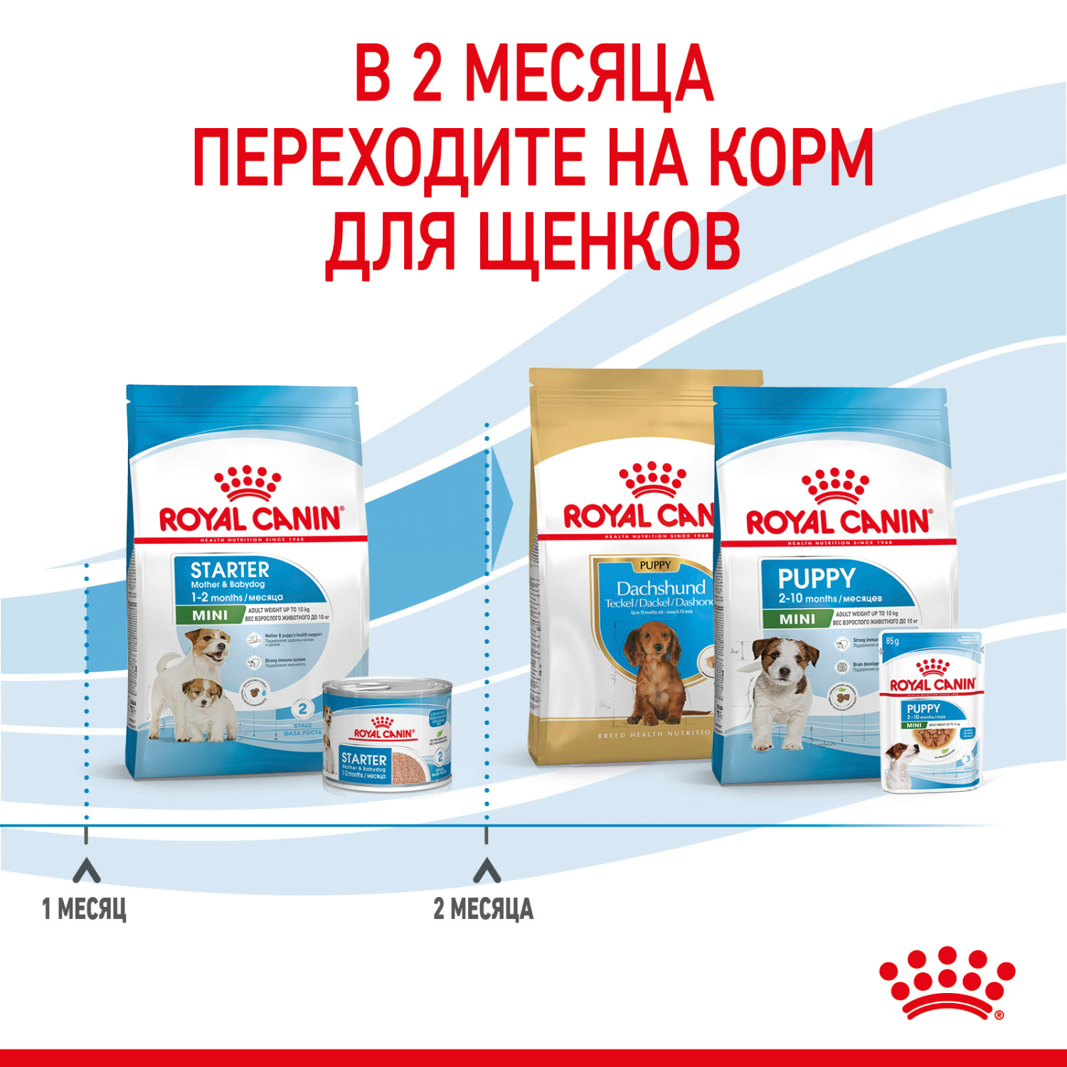 Сухой корм для собак ROYAL CANIN Starter 3 кг птица (полнорационный) - фото 10