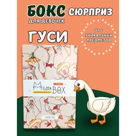 Подарочный бокс для девочки iLikeGift Milota Box mini гусь