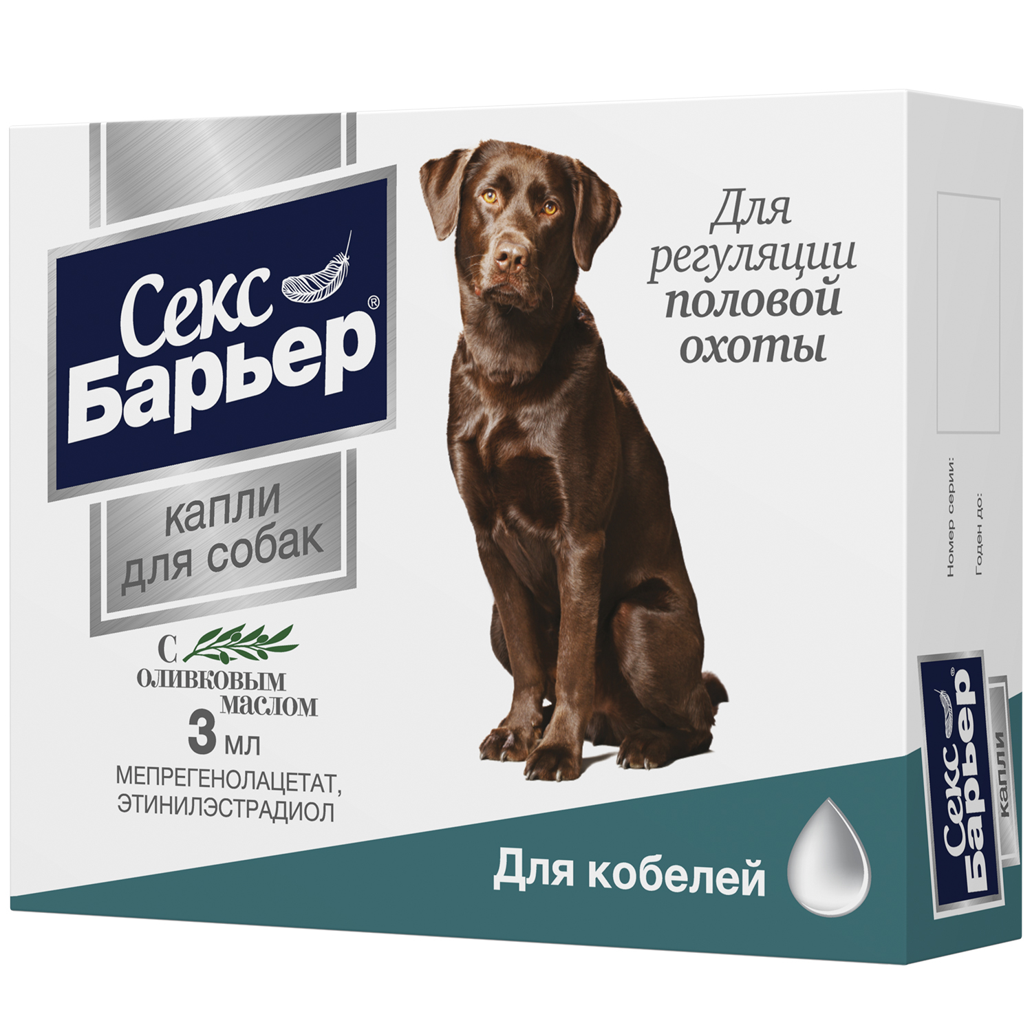 секс собакой 