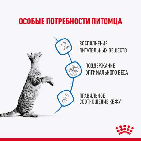 Корм для кошек ROYAL CANIN 85г Indoor Sterilised соус для живущих в помещении