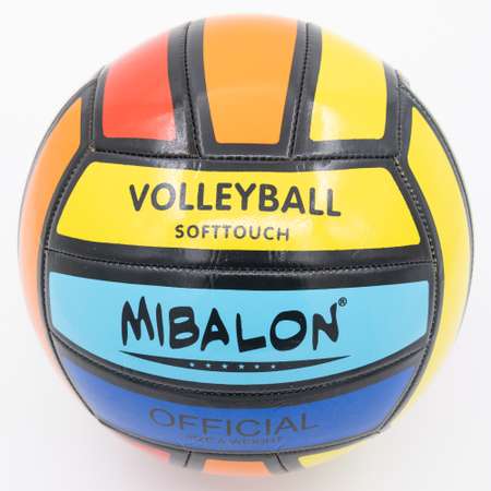 Мяч волейбольный Bolalar Разноцветный
