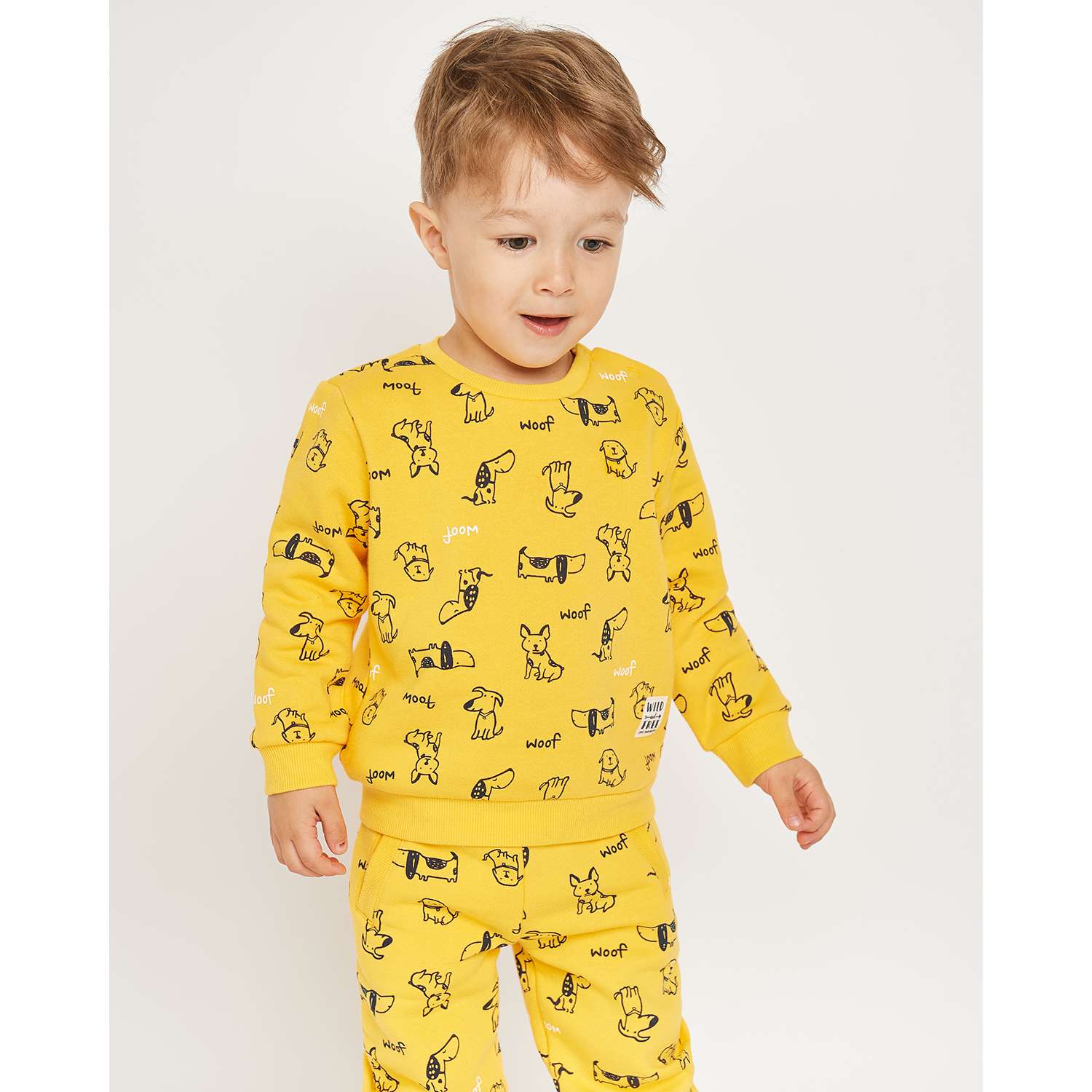 Свитшот BabyGo AW22-IN156BGib-33 - фото 1