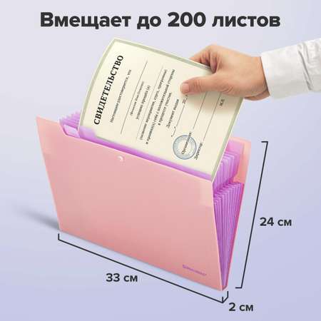 Папка-органайзер Brauberg А4