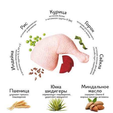 Корм для котят Roybis 0.4кг сухой с курицей полнорационный для активного роста и развития