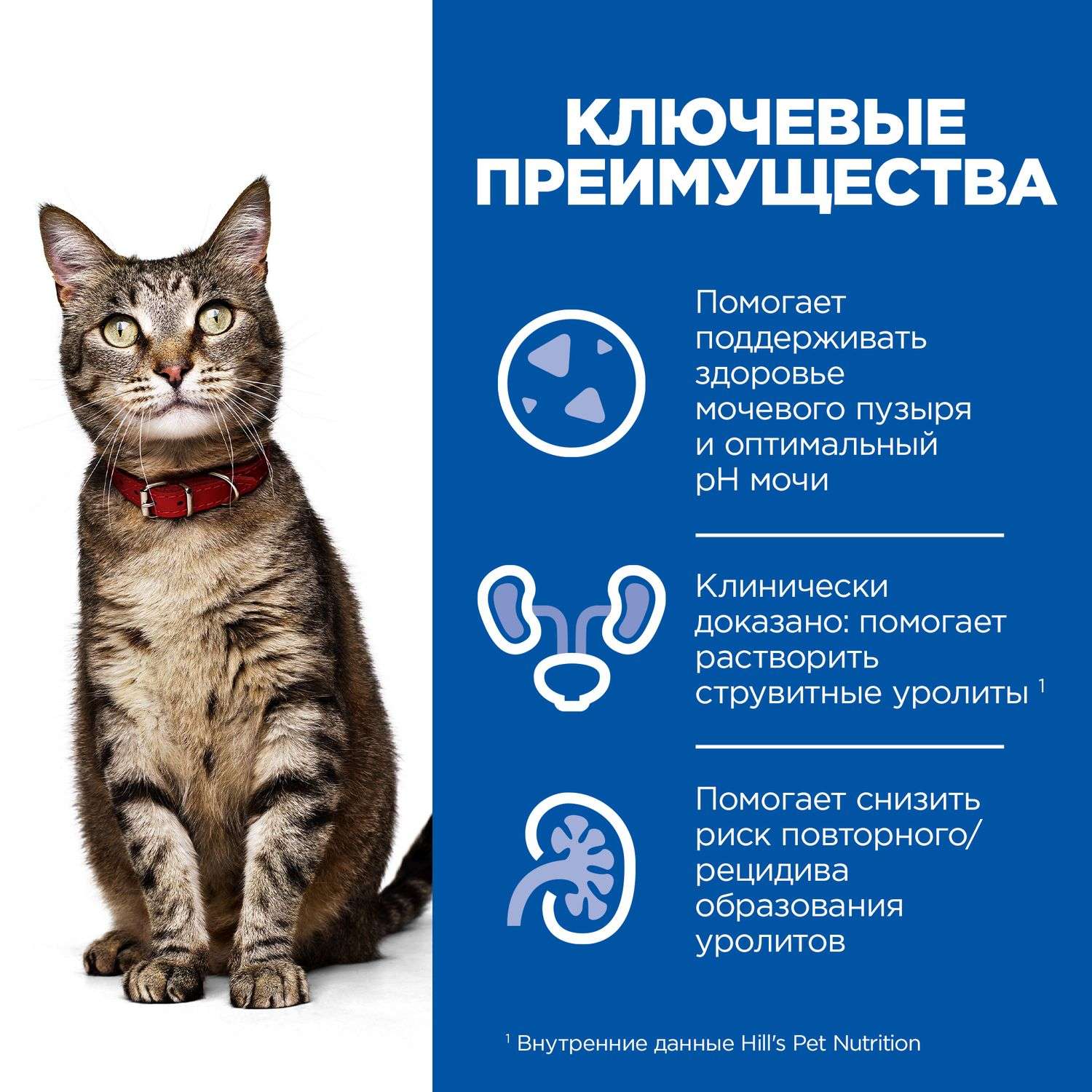 Корм для кошек HILLS Prescription Diet c/d Multicare Urinary Care для МКБ с курицей сухой1.5кг - фото 6