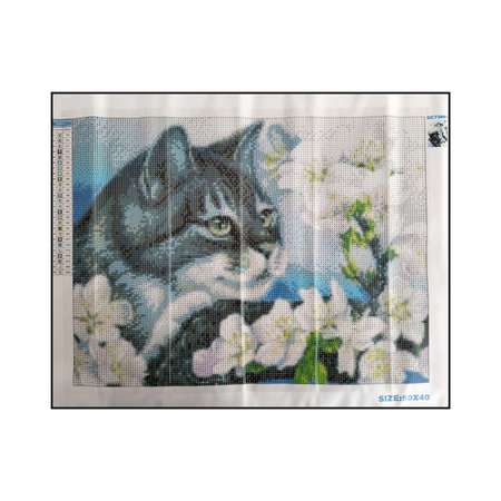 Алмазная мозаика Seichi Кот с белыми цветами 40х50 см