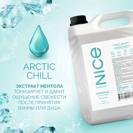 Гель для душа NICE by Septivit Arctic chill 5л