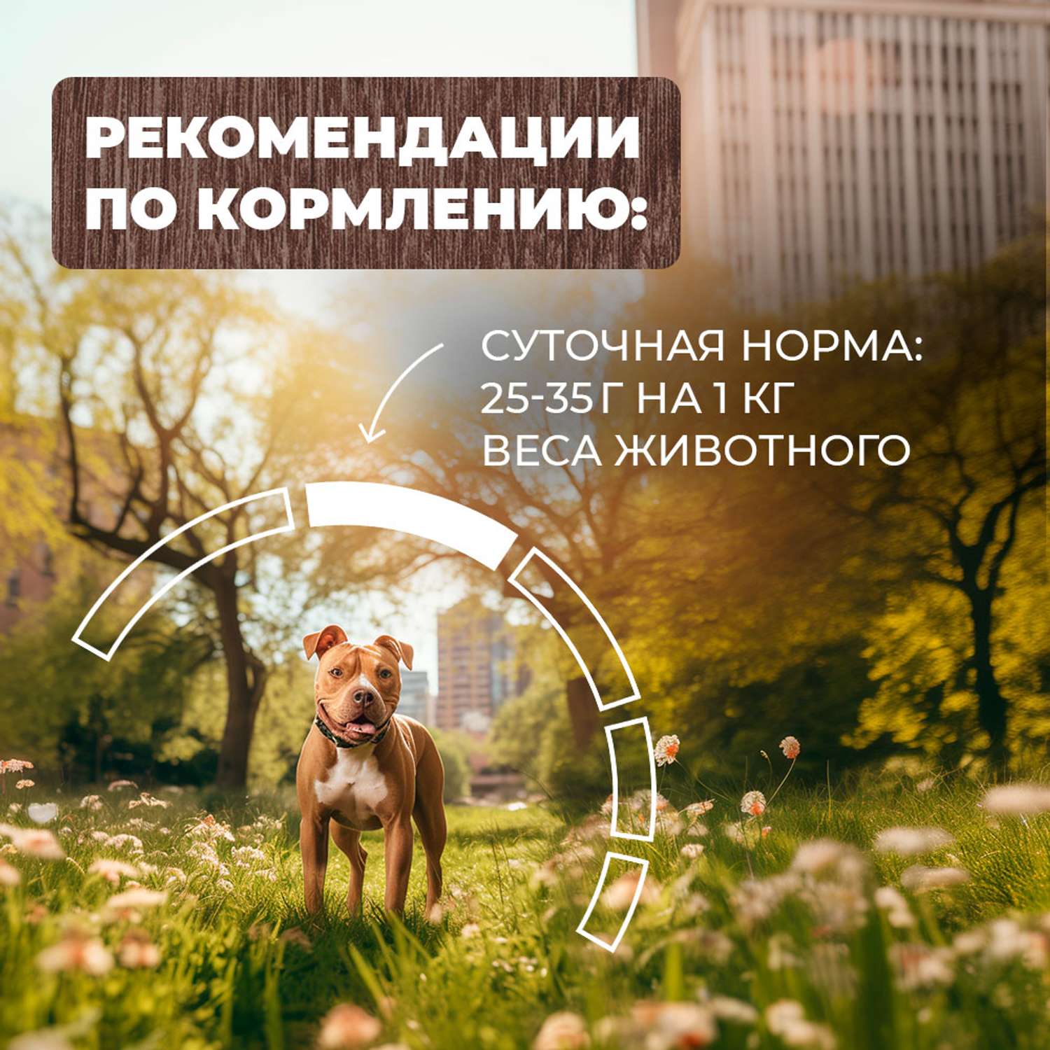 Корм для собак Родные корма скоблянка мясная по-городецки 970г - фото 5