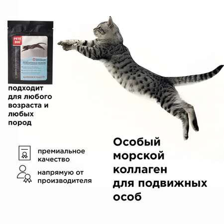 Лакомство для кошек PETS BIN Bones and Joints для суставов и связок с коллагеном 2 типа 25 г