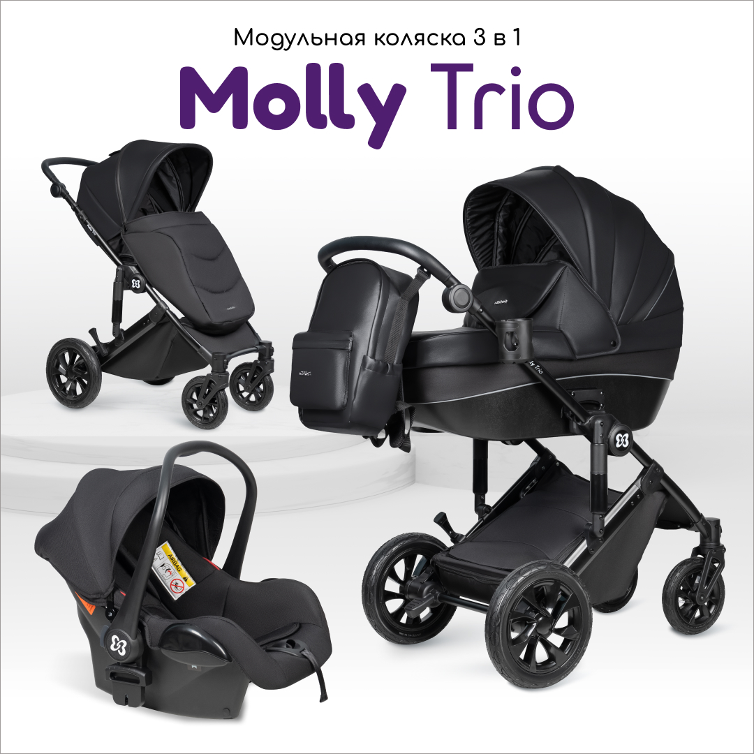 Модульная коляска 3 в 1 Farfello Molly Trio - фото 1