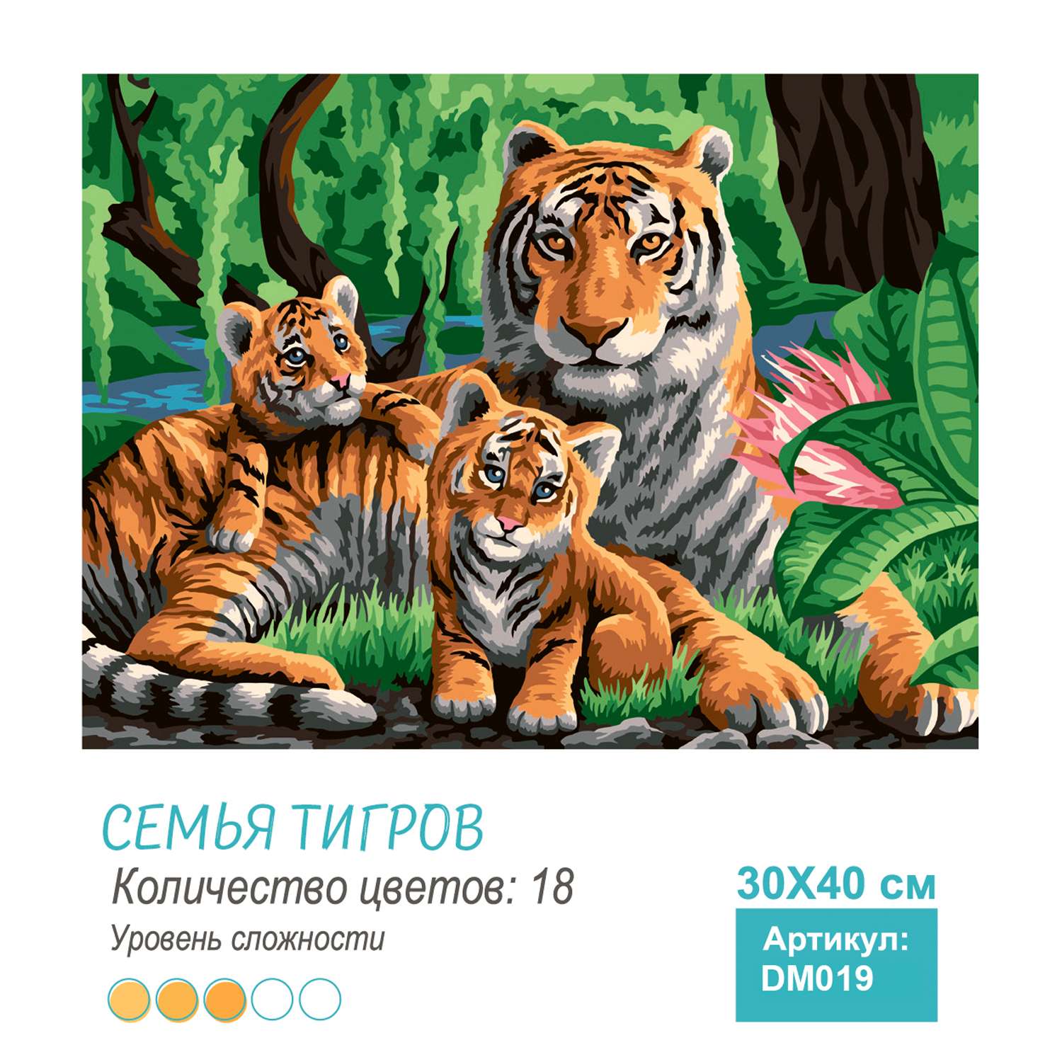 Набор для творчества Attivio Картина по номерам Тигры DM019 - фото 5