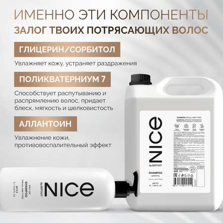 Шампунь для волос NICE by Septivit профессиональный 5л