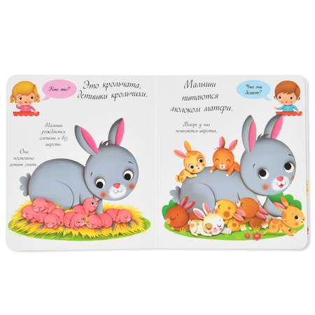 Книга Эксмо Кролики и крольчата Кто это такие?