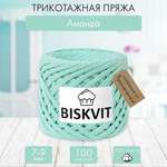 Трикотажная пряжа BISKVIT Аманда