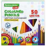 Карандаши цветные Brauberg художественные для рисования 50 цветов с мягким грифелем
