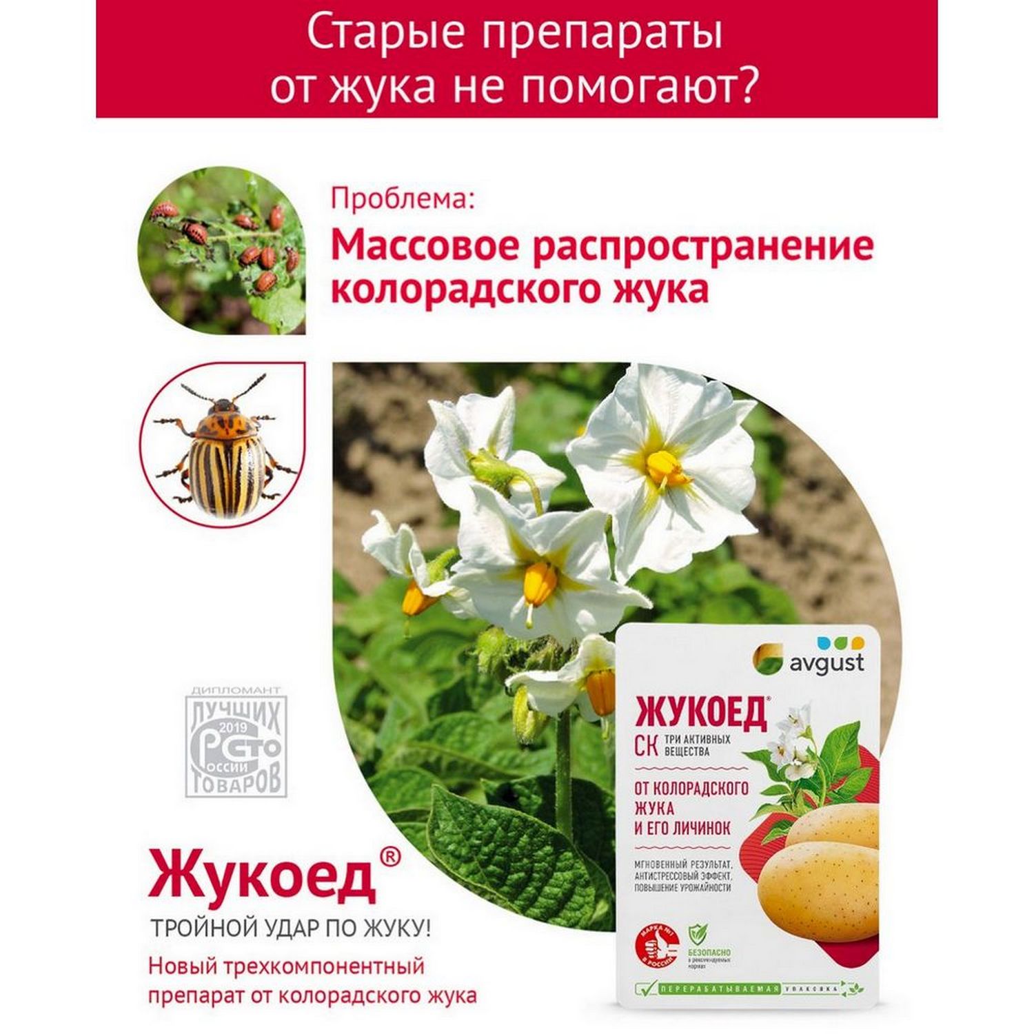 Средство от вредителей AVGUST Жукоед СК от колорадского жука 9мл купить по  цене 297 ₽ в интернет-магазине Детский мир