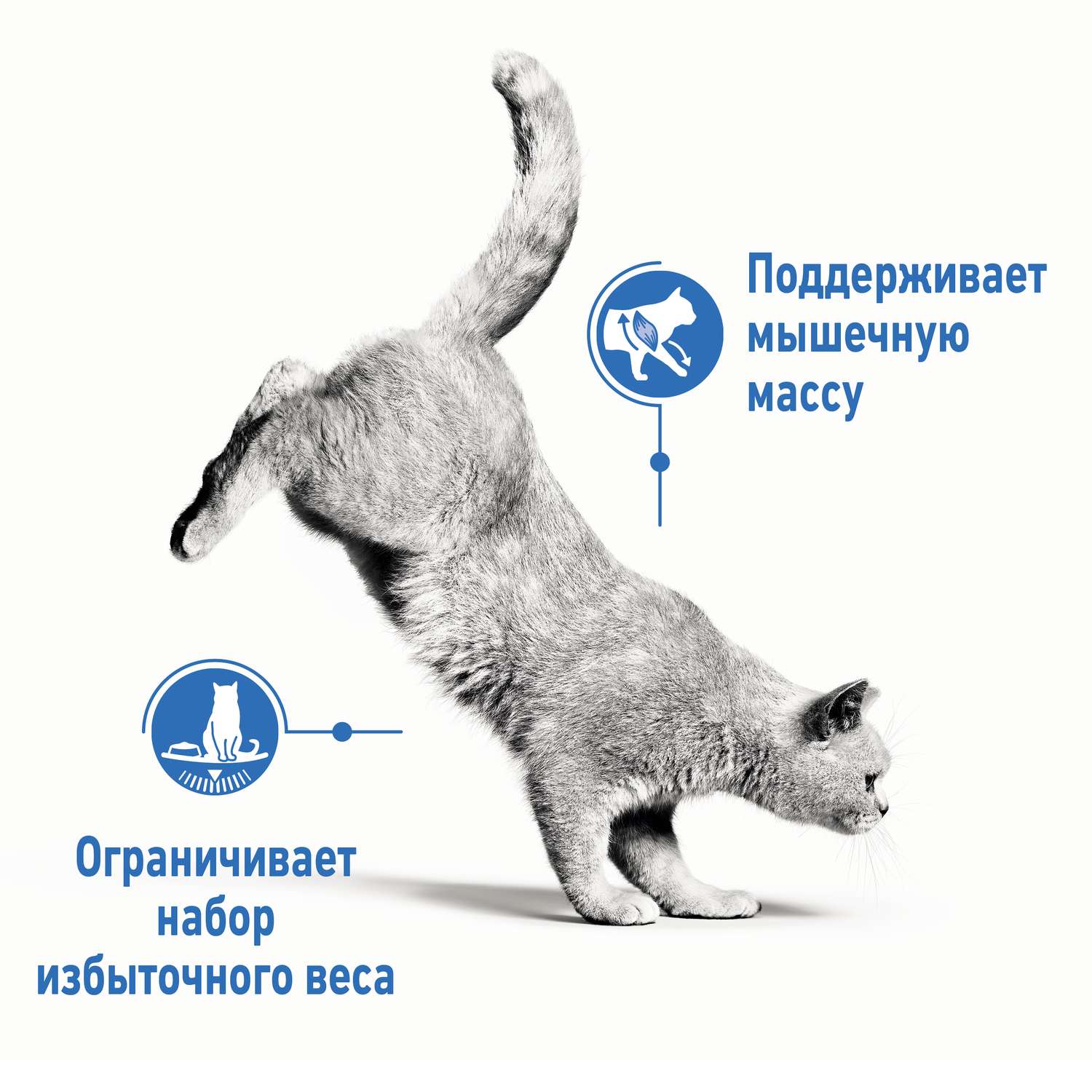 Корм влажный для кошек ROYAL CANIN Ultra light 85г желе склонных к полноте пауч - фото 5