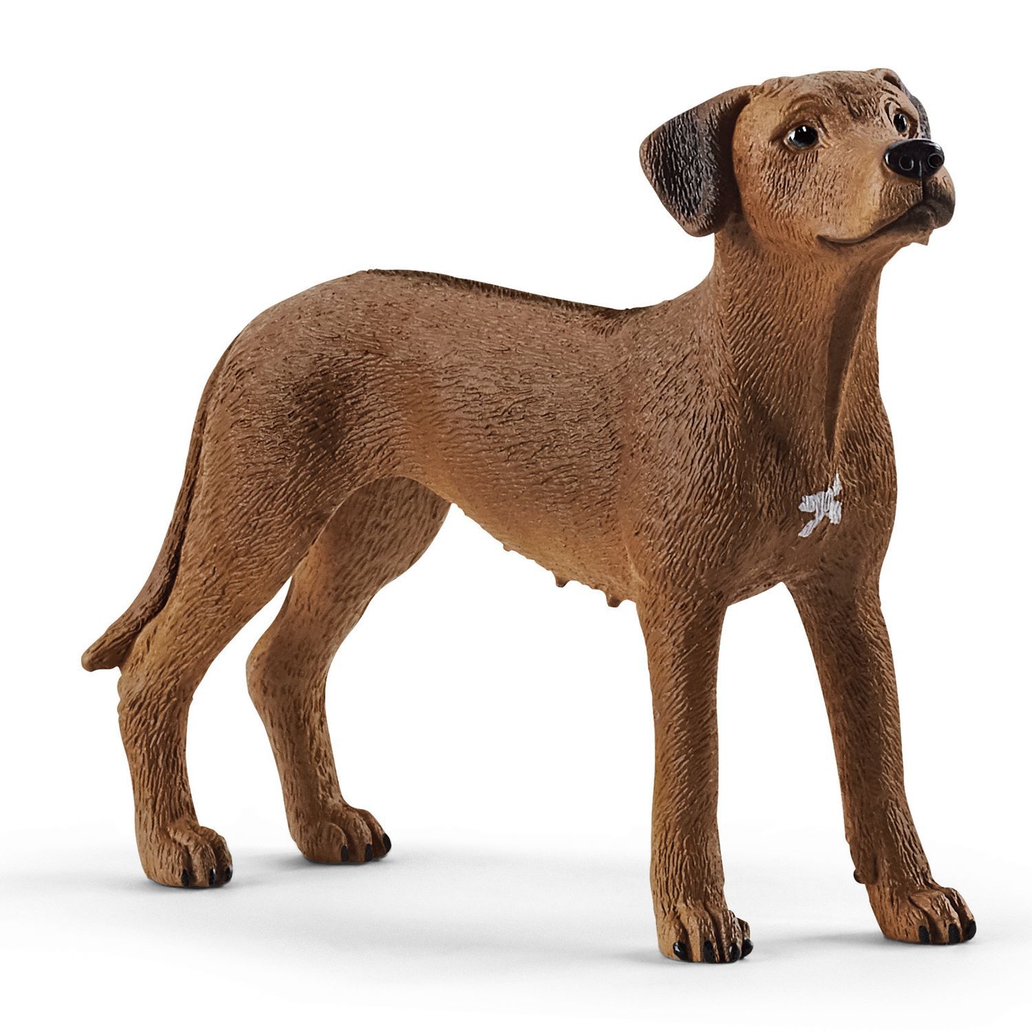 Фигурка SCHLEICH Родезийский риджбек 13895 - фото 1