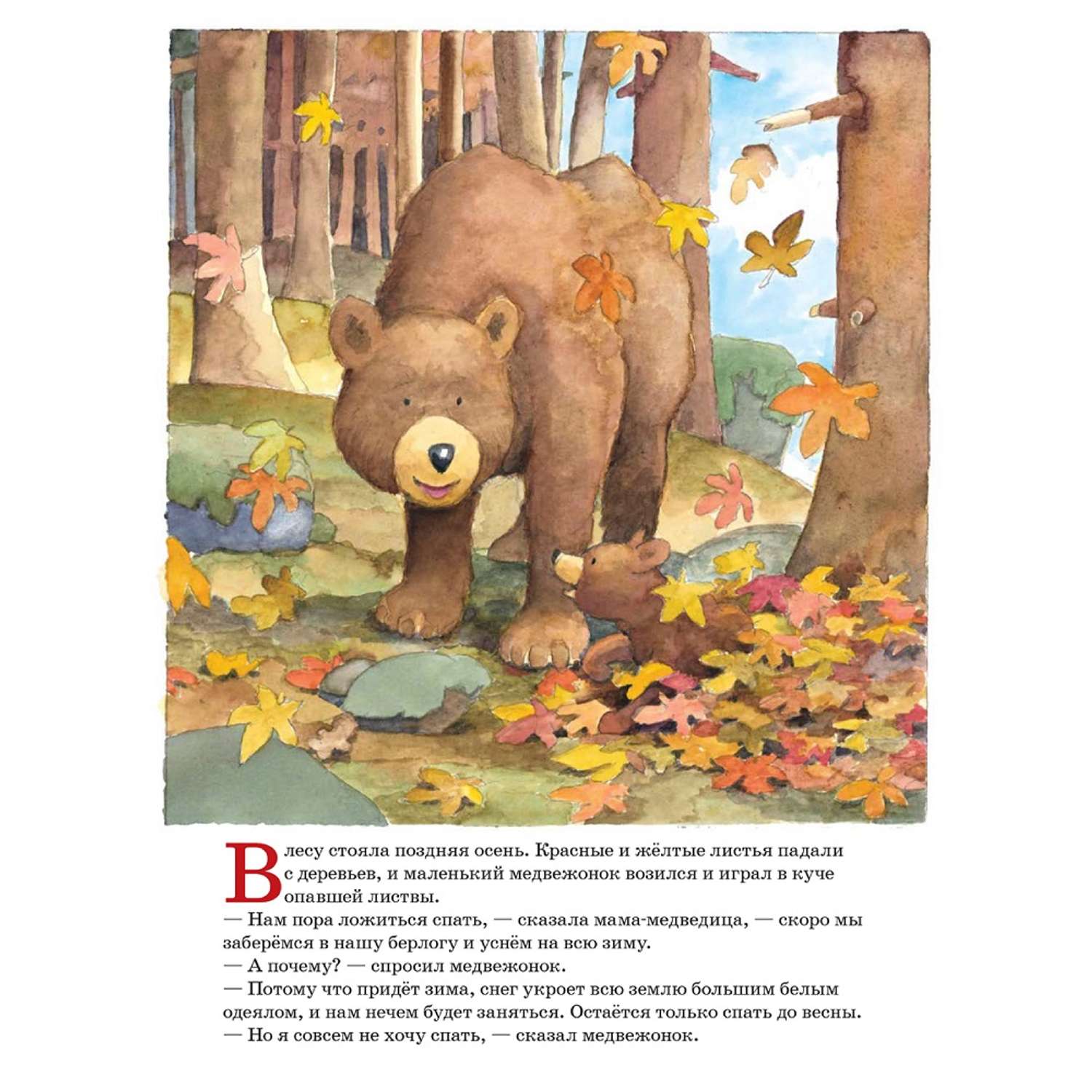 Книга Добрая книга Ложись спать медвежонок! Иллюстрации Яна Могенсена - фото 6