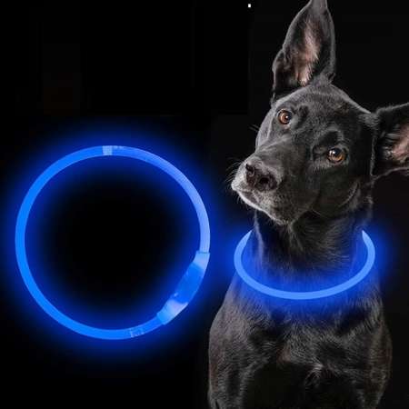 Ошейник ZDK Светящийся 55см LED синий сплошной свет ZooWell