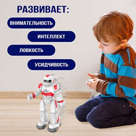 Робот РУ WOOW TOYS Гравитон