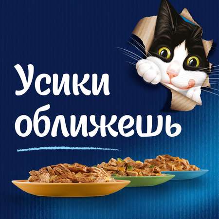 Корм для кошек Felix 75г Аппетитные кусочки для взрослых курица-томаты