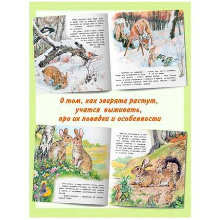 Комплект книг Фламинго Сказки для детей Рассказы о животных Приключения Котенка Волчонка Зайчонка Жеребенка
