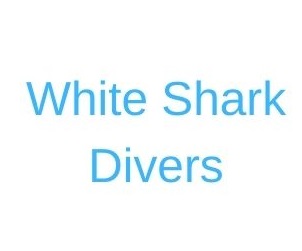 White Shark Divers