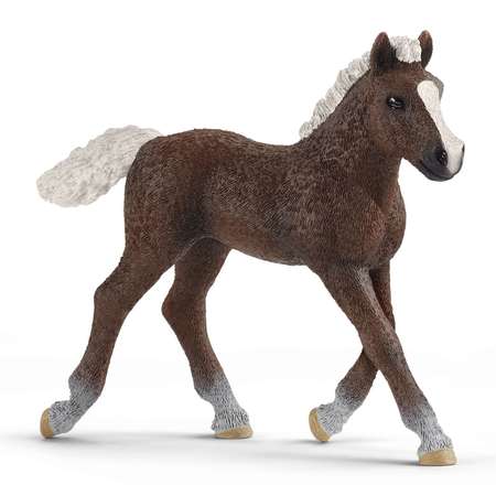 Фигурка SCHLEICH Шварцвальдский жеребенок 13899