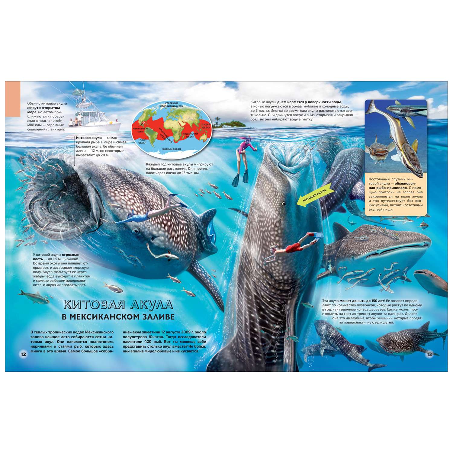 Книга Моря и океаны Иллюстрированный атлас - фото 3
