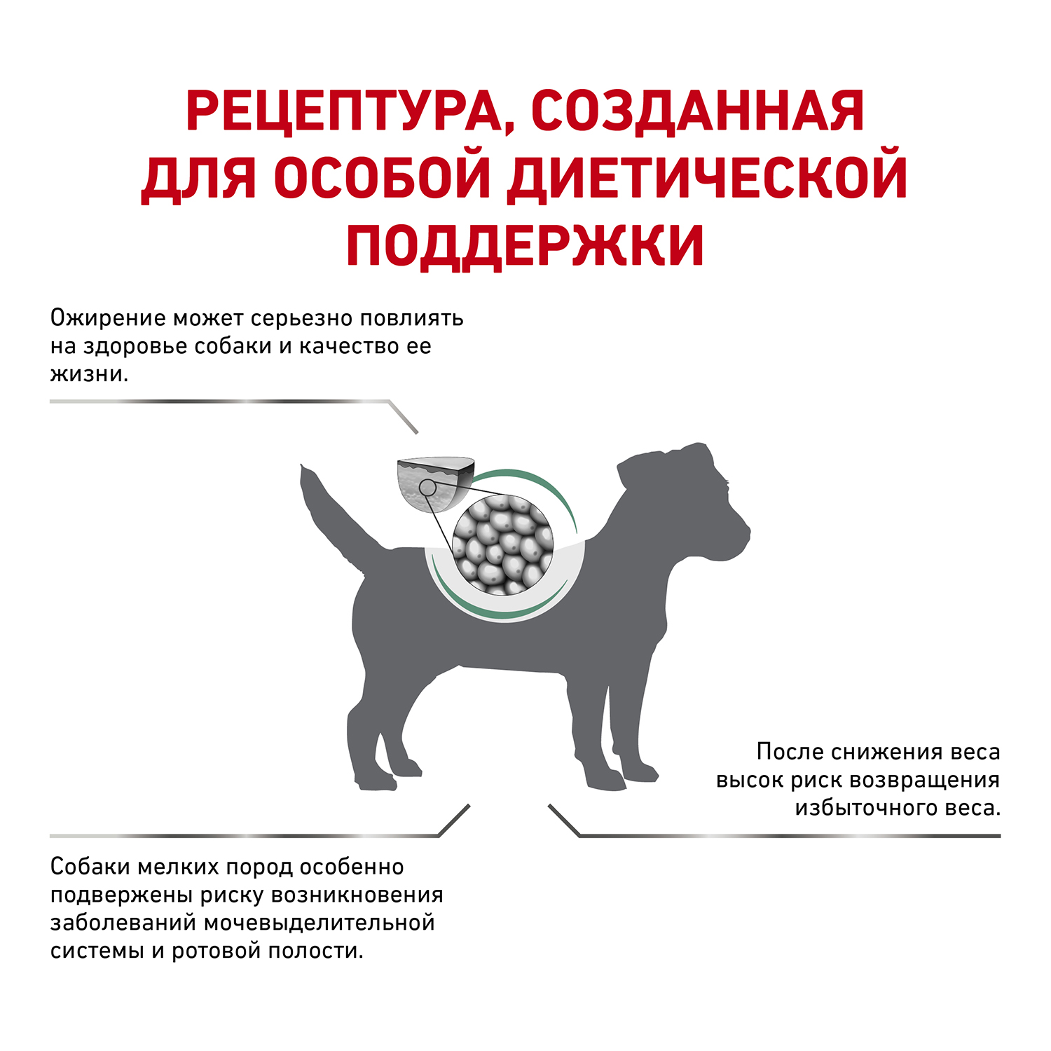 Корм для собак Royal Canin 500г мелких пород полнорационный для снижения  веса сухой купить по цене 662 ₽ с доставкой в Москве и России, отзывы, фото