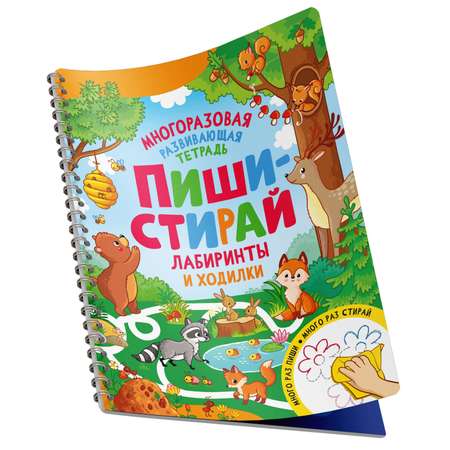 Книга Лабиринты и ходилки Пиши-стирай