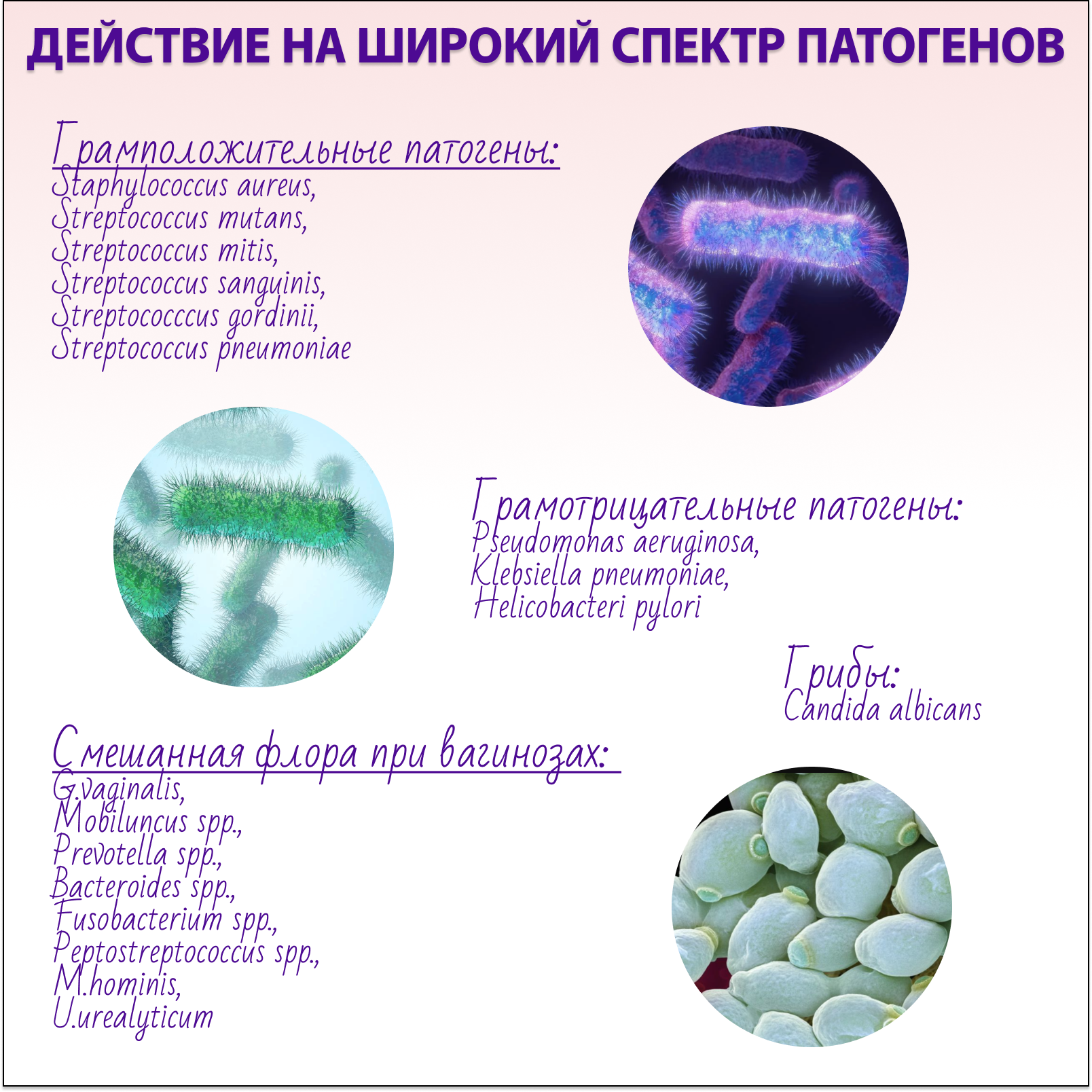 Гель Multi-Gyn от бактериального вагиноза 50 мл - фото 7