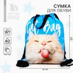 Сумка для обуви ArtFox STUDY «Cat Bag» два вида ручек 41х31 см