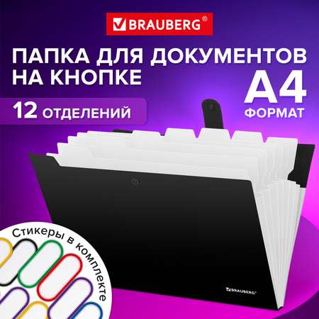 Папка-органайзер Brauberg для документов А4 на кнопке канцелярская 12 отделений