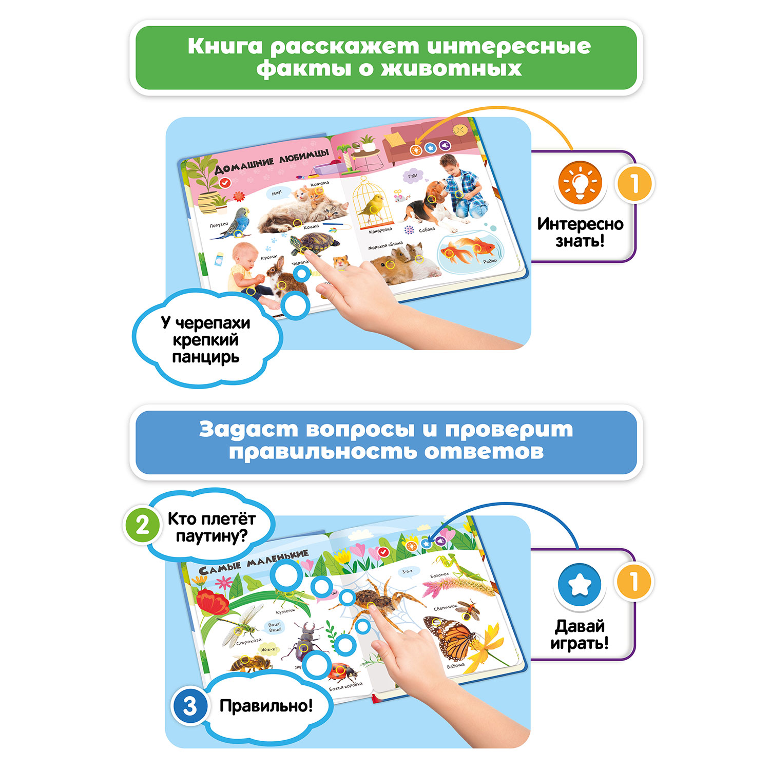 Комплект говорящих книжек BertToys Нажималки: Животные и Формы - фото 5