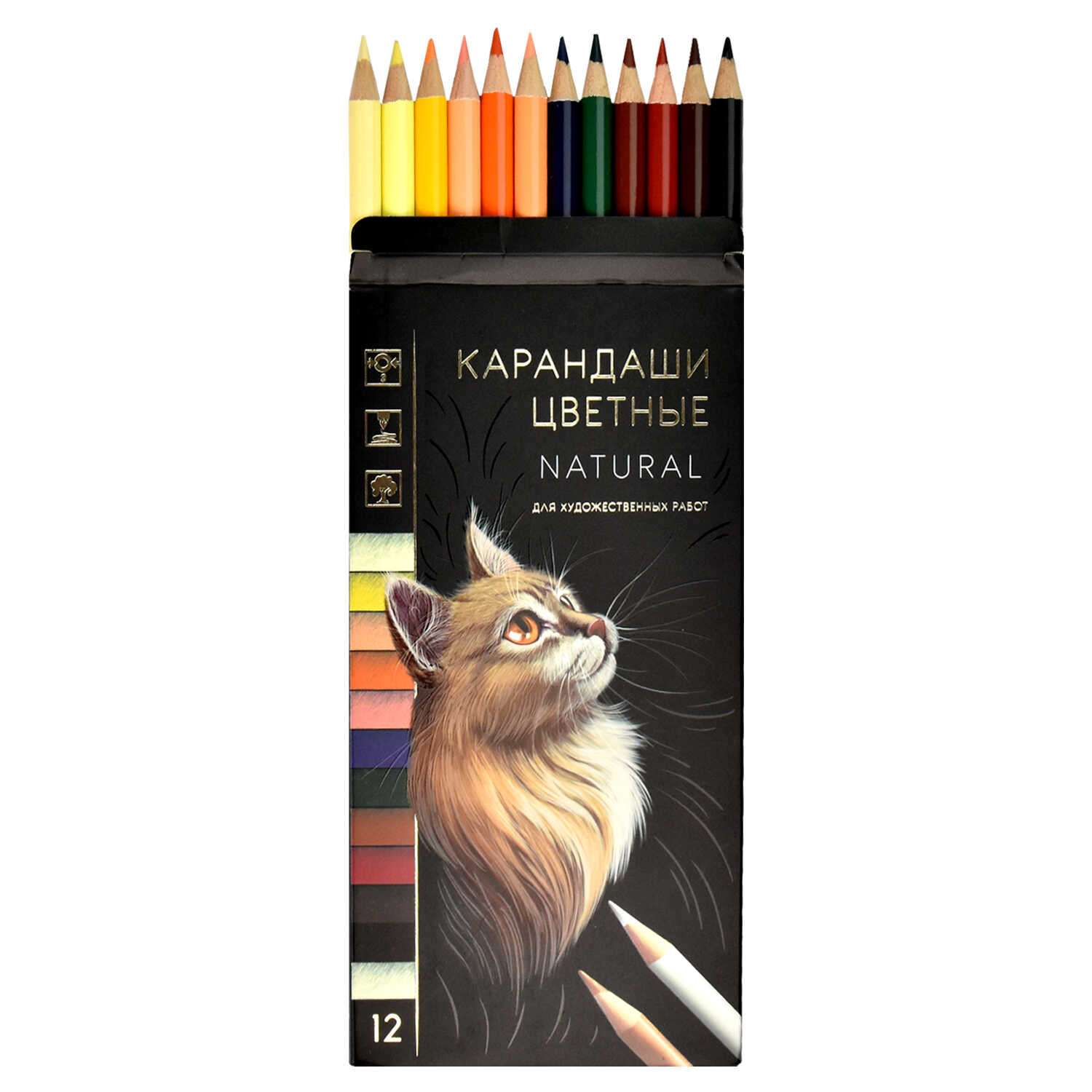 Набор цветных карандашей 12 цв ФЕНИКС+ Натурель - фото 2