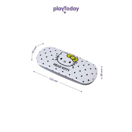 Чехол для солнцезащитных очков PlayToday