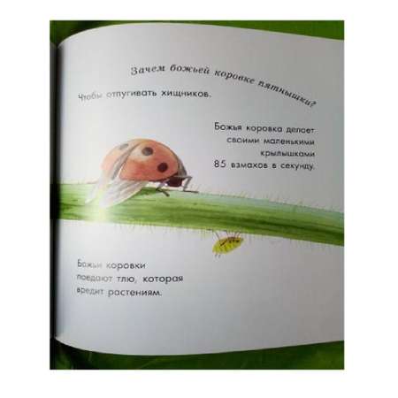 Книга РАНОК Знакомые насекомые